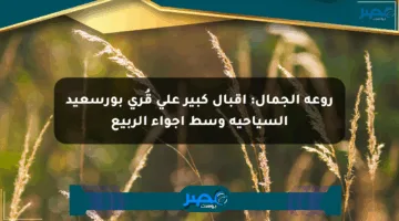 روعة الجمال: إقبال كبير على قُرى بورسعيد السياحية وسط أجواء الربيع